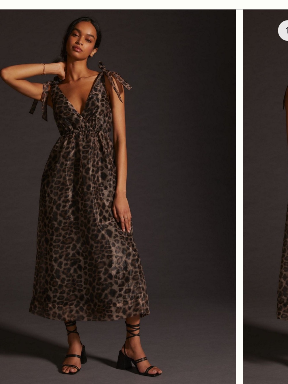 Daniel Rainn Organza Printed V-Neck Maxi Dress